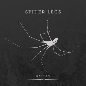 Spider Legs