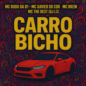 CARRO BICHO