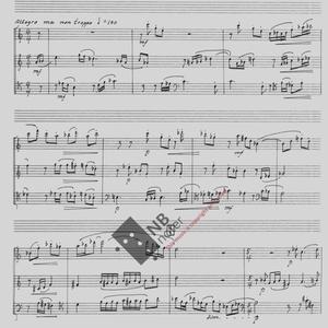 Mini-trio for flute, clarinet and bassoon 1977. Op 114