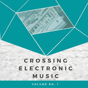 Crossing Electronic Music, Vol. 1 (Explicit)