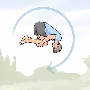 what the flip? (alt version)