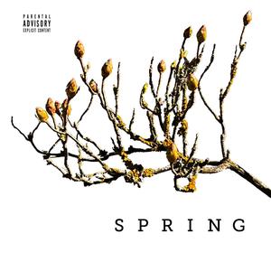 Spring (Explicit)