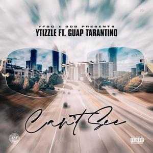 Can't See (feat. Guap Tarantino) (Explicit)