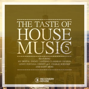 The Taste of House Music, Vol. 5