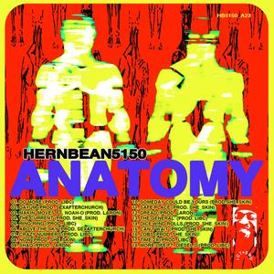 Anatomy (Explicit)