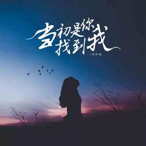 怪阿姨 - 当初是你找到我 (DJ默涵版)