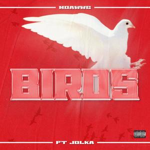 Birds (feat. Jolka) (Explicit)