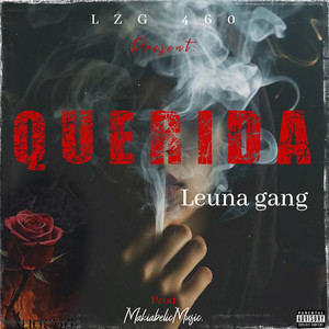 QUERIDA (Explicit)