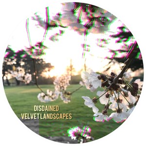 Velvet Landscapes