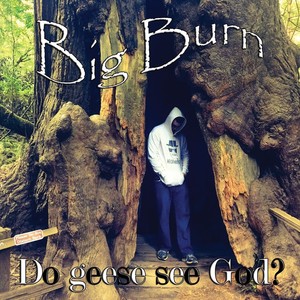 Without We (feat. Beals) (Explicit)