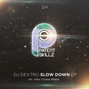 Slow Down (Alex Cristea Remix)