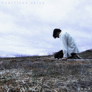 Heartless Skies