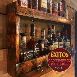 Exitos Cantineros Pa'Beber, Vol.11