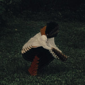 Crashin into the sun (feat. Numbpyro)