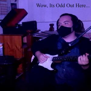 Another Quarantine Song...(feat. Ranipla)