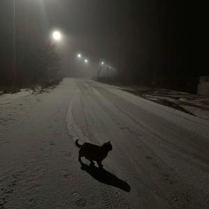 flashbacks (digicore)