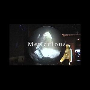 Meticulous (Explicit)