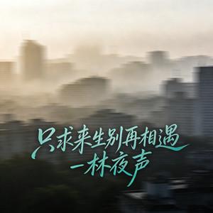 只求来生别再相遇