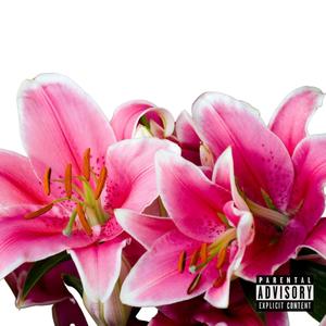 Wine & Dine(feat. Chioma) (Explicit)