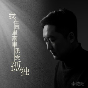 我在风里雨里承受孤独