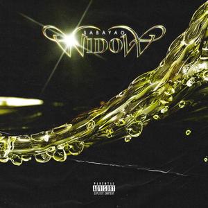 Widow (feat. Savage Bright) [Explicit]