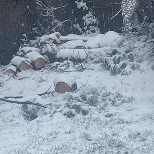 Get Ya Mama Hit (Explicit)