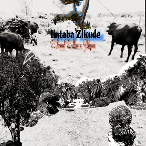 Ndithembise (feat. Mpangazitha)