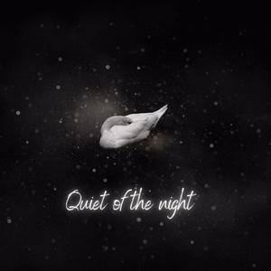 Quiet Of The Night