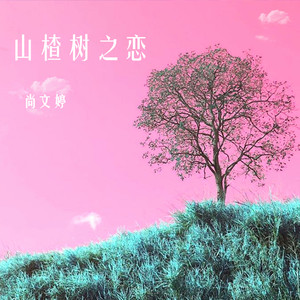 山楂树之恋 (官方版)