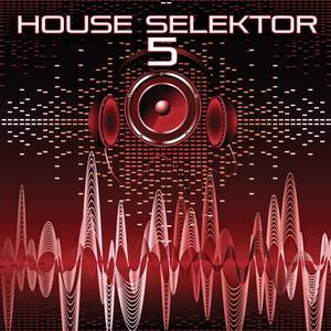 House Selektor, Vol. 5