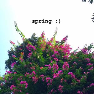 spring :)