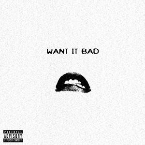 WANT IT BAD (feat. Bobby’s Soul) [Explicit]