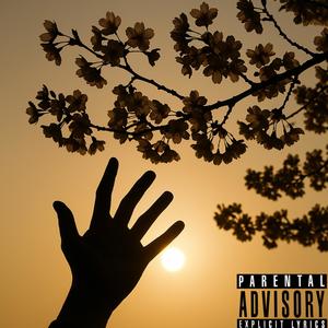 Every night with you (BY the light) (Explicit)