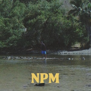 NPM