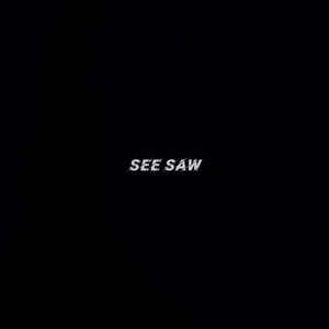 See Saw
