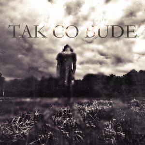 Tak co bude (feat. Van Dal)