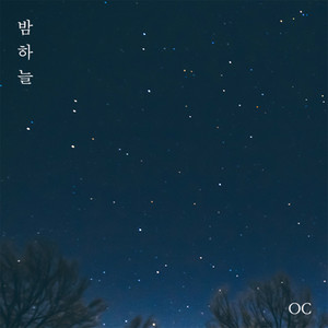 밤하늘(Night sky) (夜空)