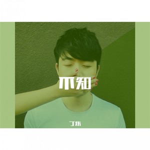 丁炜 - 不知