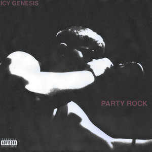 Party Rock (Explicit)