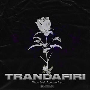 Trandafiri (feat. Apogeu Biso) (Explicit)