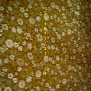 Blumentapeten (feat. DJ Knick Neck & KudoS)