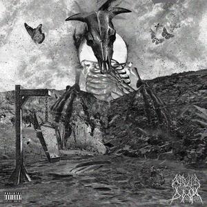 REFLECTIONS (Explicit)