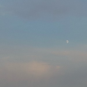 beneath a quiet sky