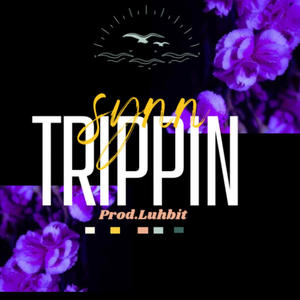 Trippin (feat. Luhbit) [Explicit]