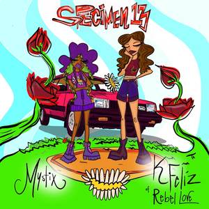 Specimen 13 (Explicit)