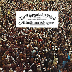 Ett Uppsalaår med Allmänna Sången