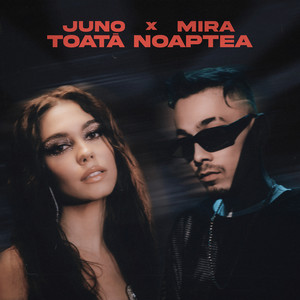 Toată noaptea