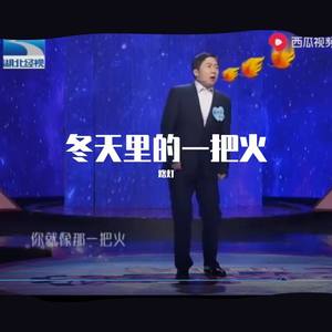 爱中国爱汉语