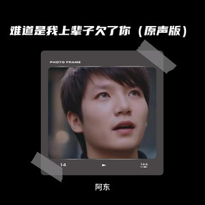 难道是我上辈子欠了你 (原声版)封面