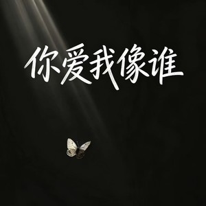 你爱我像谁 (R&B)